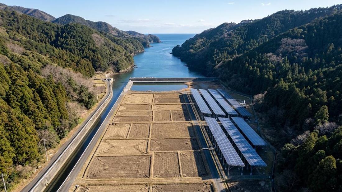 農地の上に太陽光パネルが並ぶ営農型太陽光